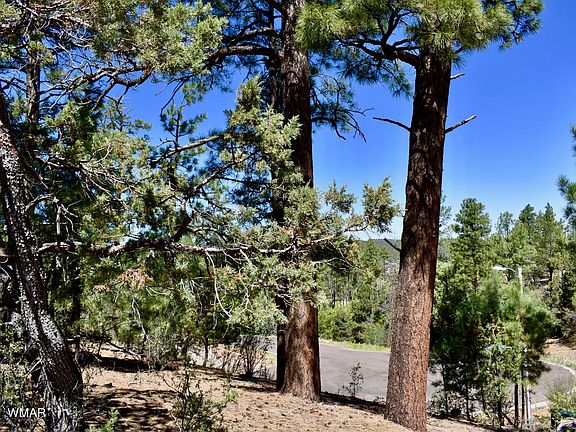 3rd image of 4601 S Manzanita Way