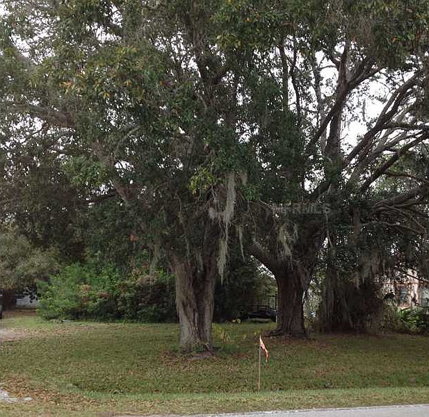 1st image of 31 W Seminole Dr