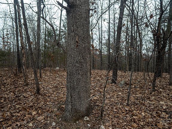 4th image of 0 Nubbin Ridge Rd