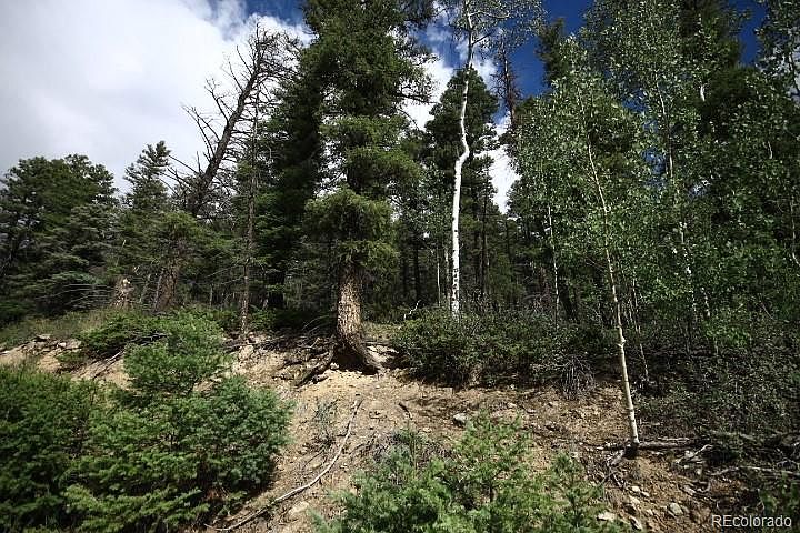 1st image of LOT 6078 Vreeland Road