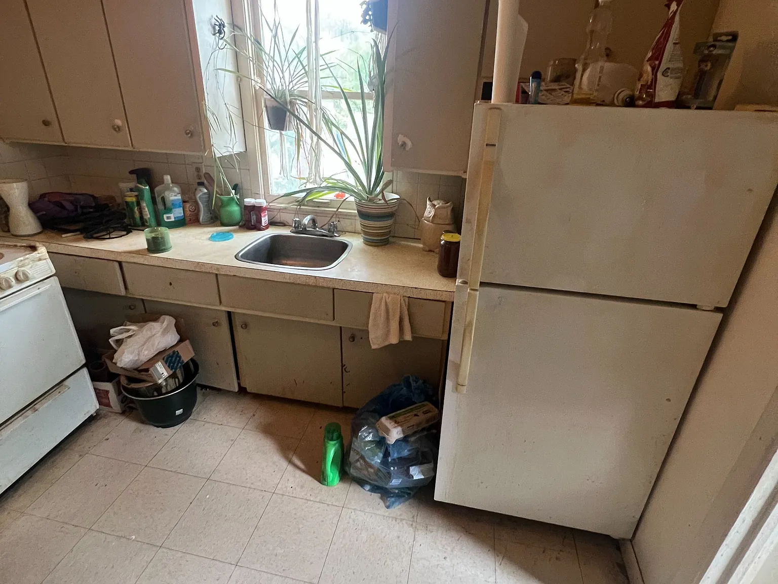 1 bed, $995 — Photo 1