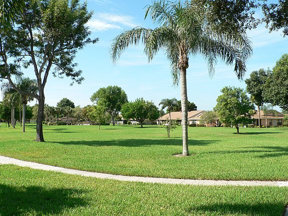 View from Back Porch