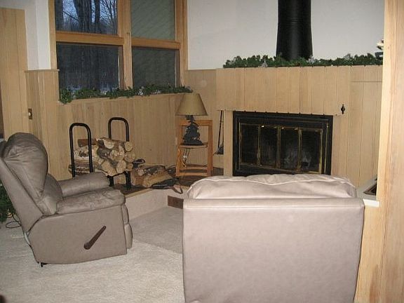 Wood Burning Fireplace