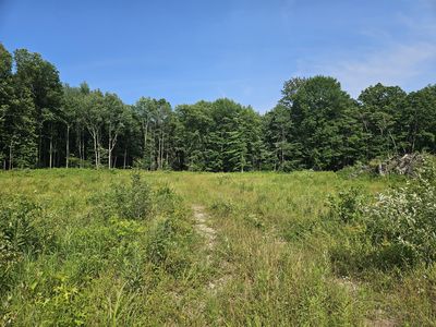 V L 54th St, Fennville, MI, 49408
