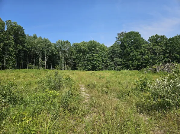 V L 54th St, Fennville, MI 49408