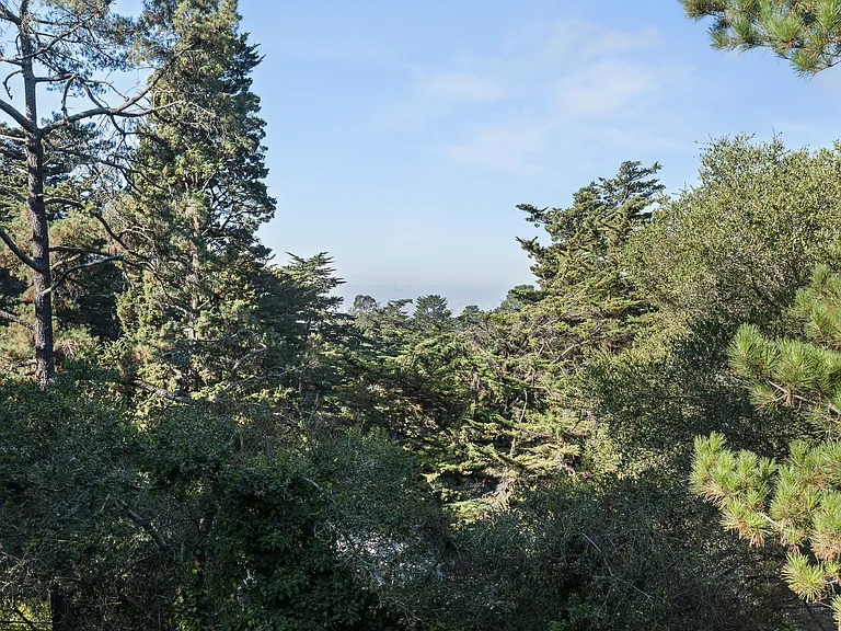 2822 Chelsea Dr — Photo 38