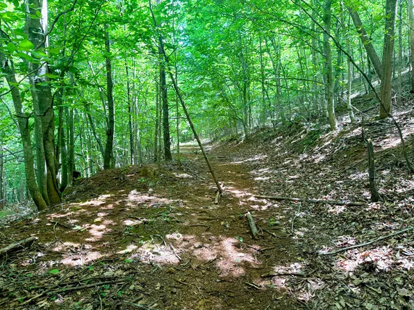 0 Lavender Rd #1 & 2, Shawsville, VA 24162