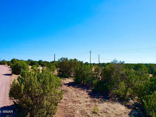 1772 Silver Lake Blvd, Show Low, AZ 85901