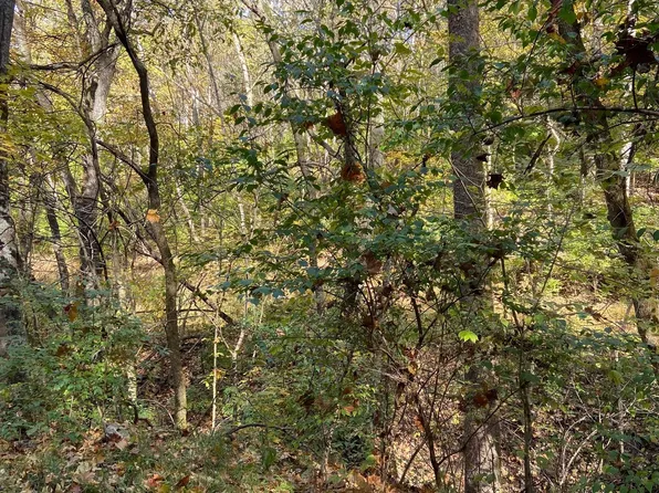 8 Fox Run, Carrollton, KY 41008
