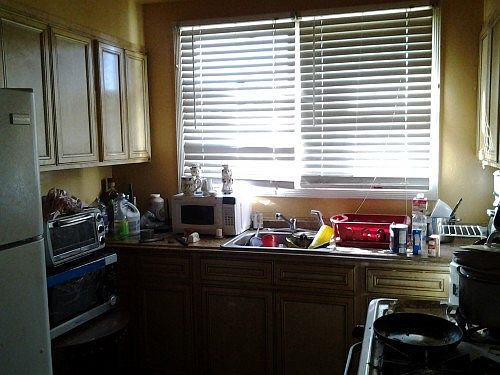 3rd image of 256 Verbena Dr