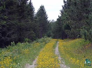 Tbd Wolf Lake Rd, Ely, MN 55731
