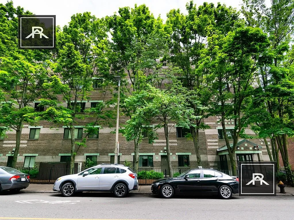 3 bed, 1.5 bath, 1100 sqft, $3,850 — Photo 4
