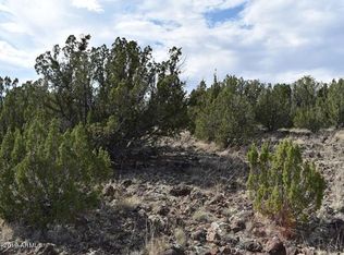 8563 Loveridge Dr, Show Low, AZ 85901