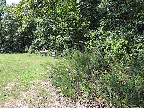 4th image of 492 Timber Ridge Rd
