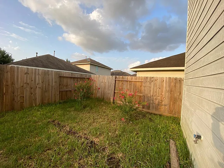 19154 Yellow Thrush Dr — Photo 18