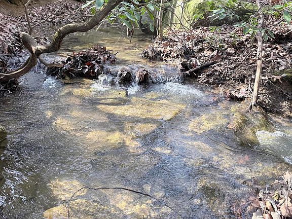 3rd image of 3916 Cummings Rd