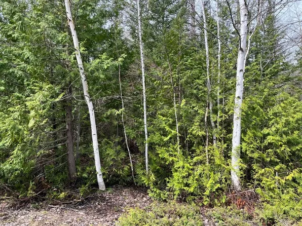 LOT 30 E Grand Lake Rd, Presque Isle, MI 49777