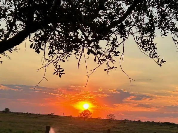 17126 Brumbelow Rd, Needville, TX 77461