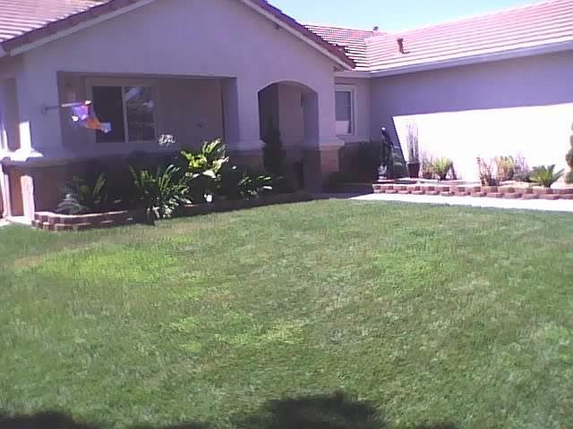 I added natural stone vanere on front