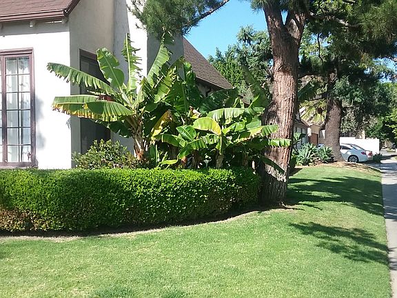 5th image of 1107 S Swall Dr
