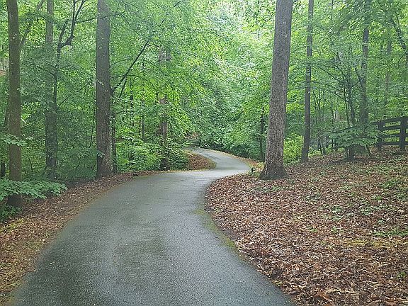 Picturesque Winding Driveway