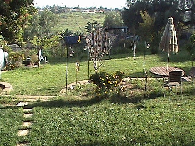 View from Deck