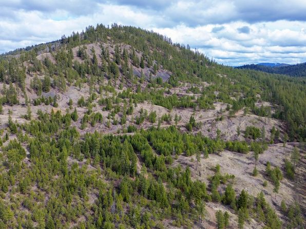 352X Greene Rd, Valley, WA 99181