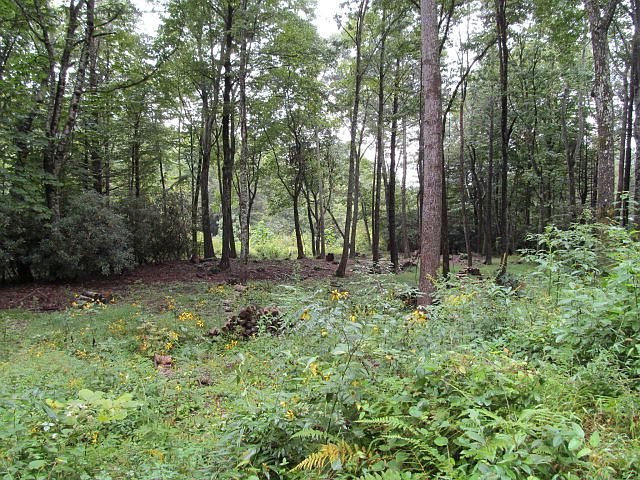 2nd image of 874 S Toe River Rd