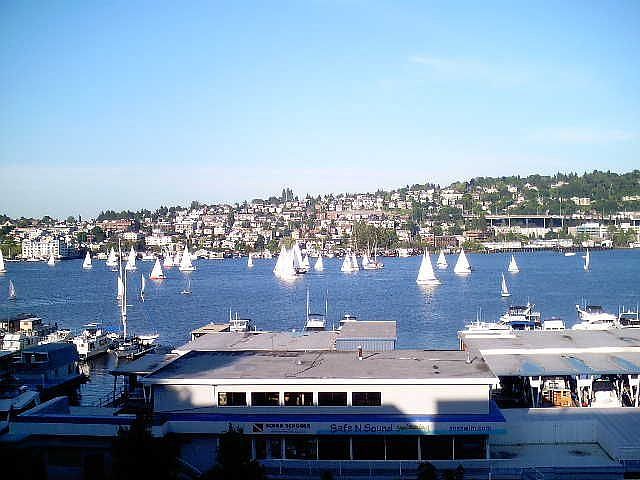 Panoramic Lake View