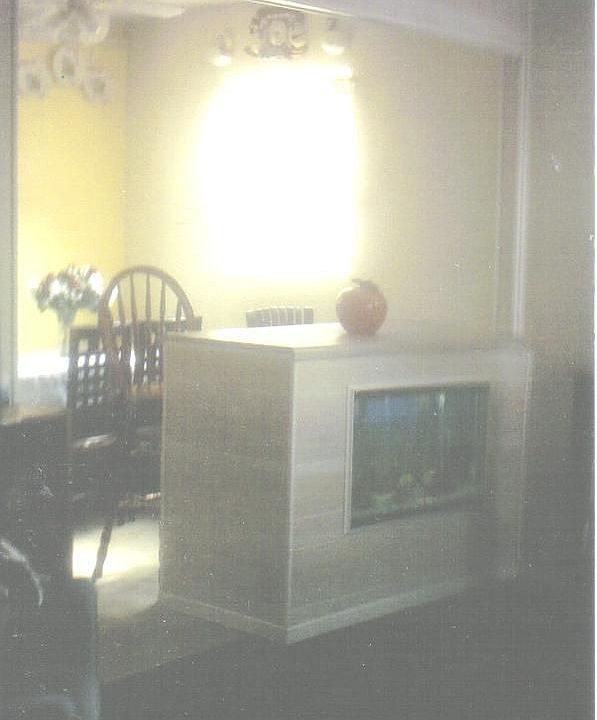 Custom Built Bar with Built in fish tank