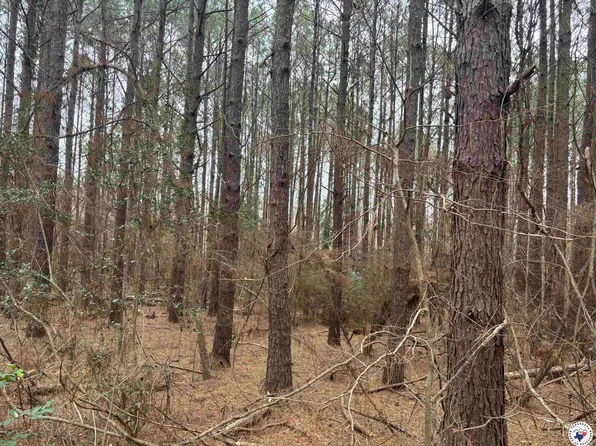 Ease Road Cres #2923, Hughes Springs, TX 75656