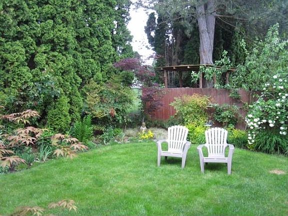Peaceful Backyard