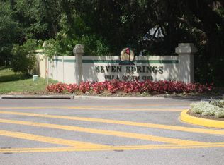 3322 Lori Ln, Trinity, FL 34655