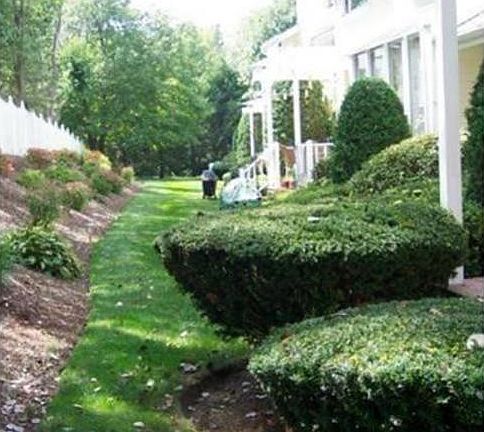 3rd image of 205 Centre Ln #205