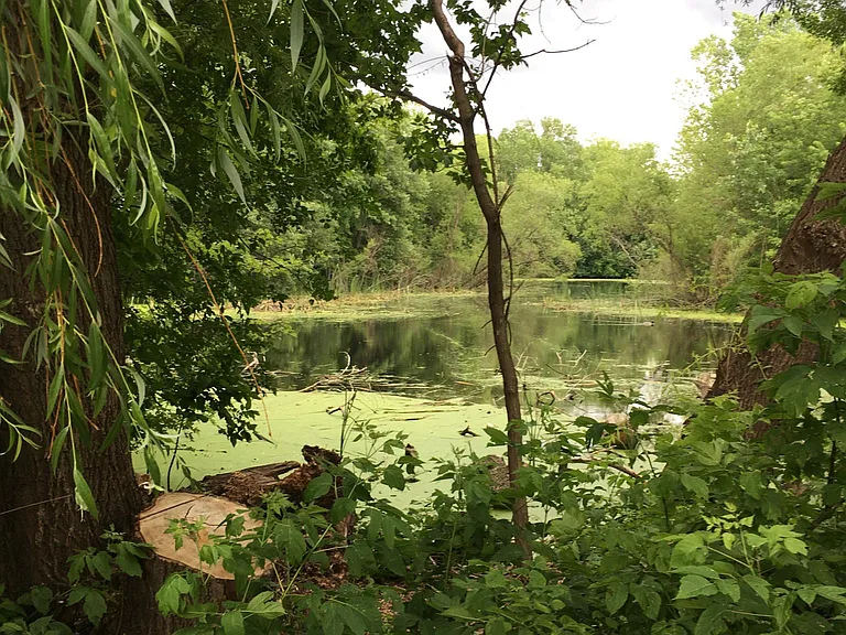 Adjacent to Otten Pond