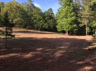 40 County Road 3197, Frankston, TX