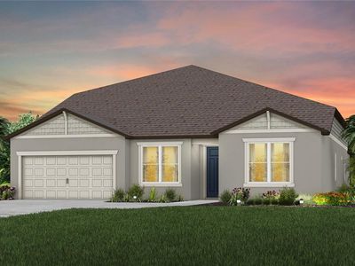 11489 Owasee Trails Pl, Riverview, FL, 33569