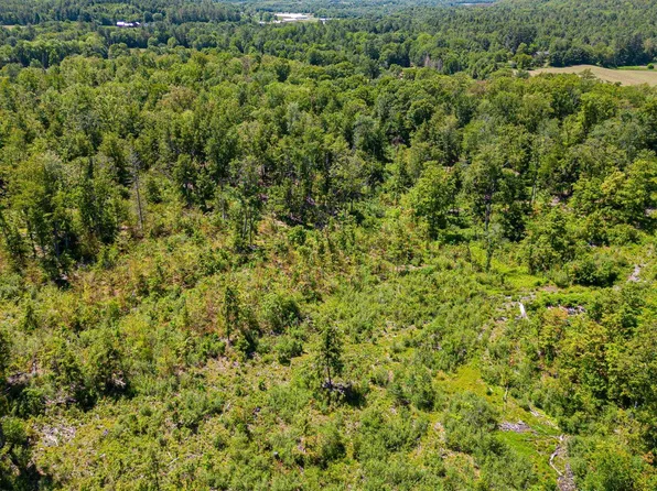 458 Cheshire Turnpike #2, Langdon, NH 03602