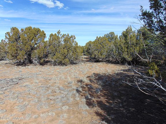 2nd image of 49 County Rd