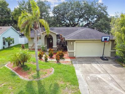 7229 Skyview Ave, New Port Richey, FL, 34653