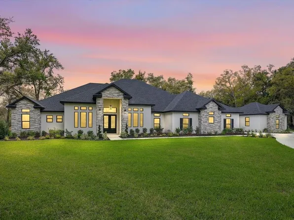 3317 Chase Jackson Br, Lutz, FL 33559