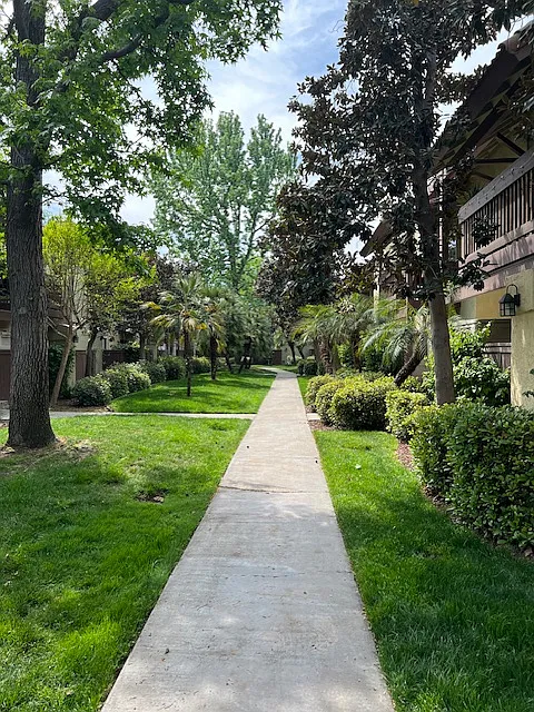 1 bed, 696 sqft, $1,250 — Photo 4