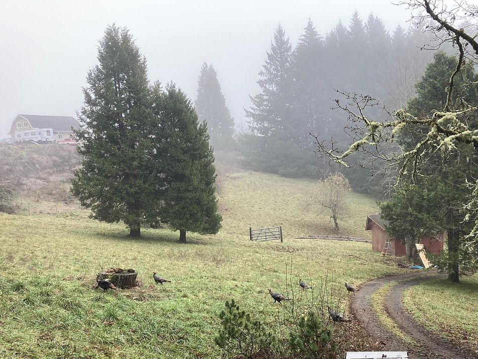 2nd image of 90420 Hill Rd