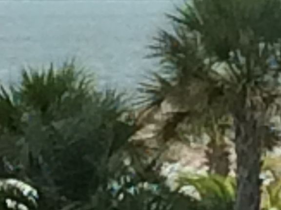 View From Balcony