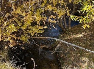 700 Davis Meadow Trl, Dyer, NV 89010