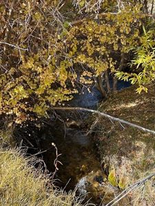 700 Davis Meadow Trl, Dyer, NV, 89010