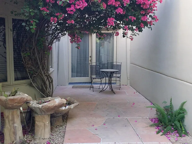 Part of backyard