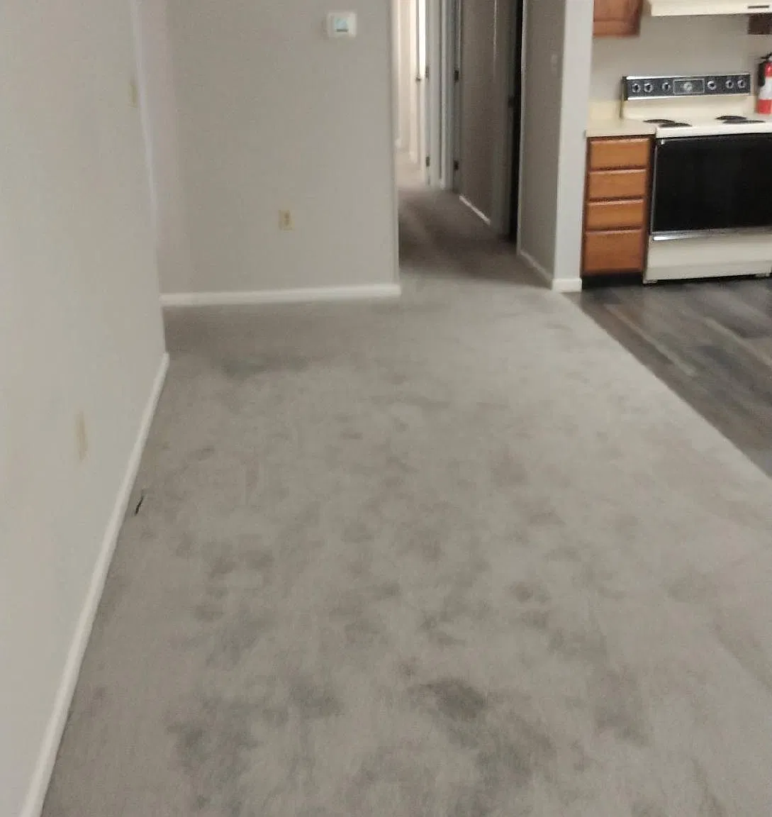 2 bed, 1280 sqft, $1,295 — Photo 1