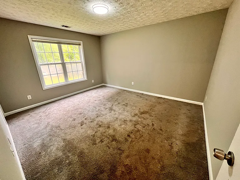 2295 Carlysle Cove Dr — Photo 28