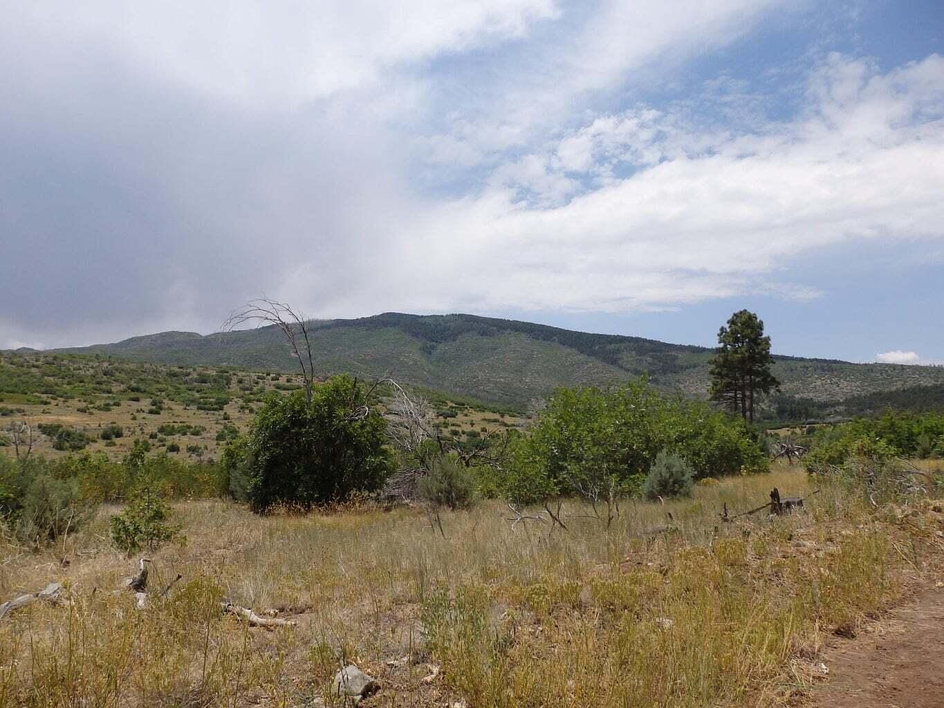 0 State Highway 337 55, Estancia, NM 87016 Zillow